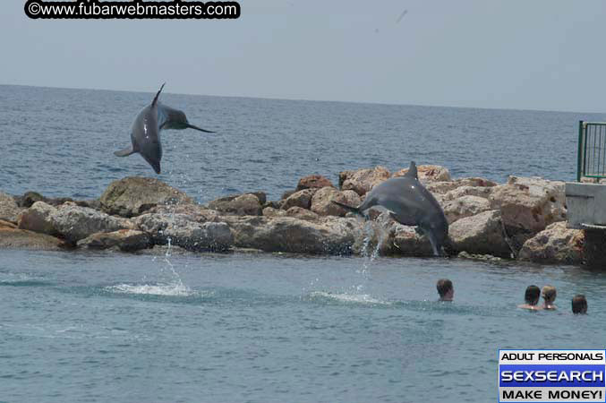 Local Billing Dolphin Encounter and Swim 2005