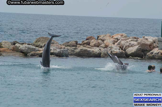 Local Billing Dolphin Encounter and Swim 2005