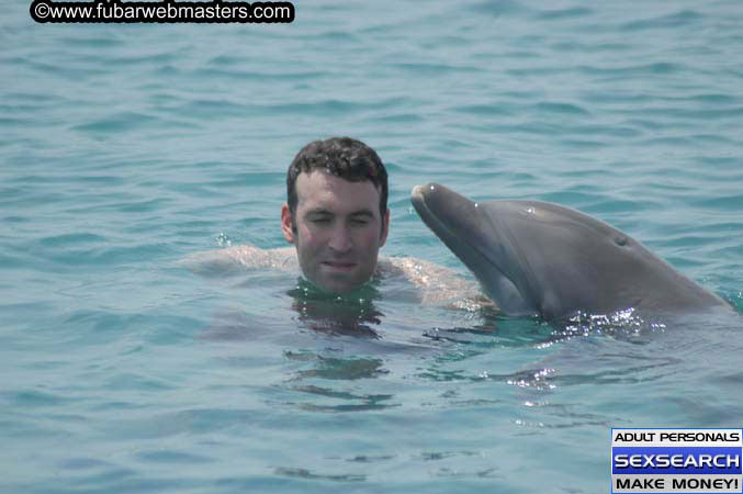 Local Billing Dolphin Encounter and Swim 2005