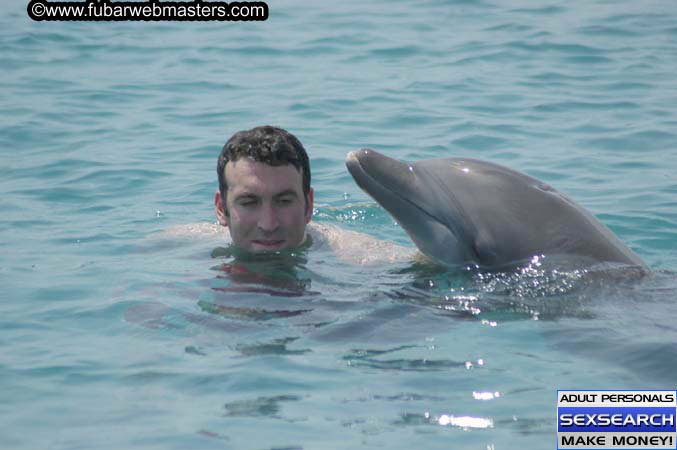 Local Billing Dolphin Encounter and Swim 2005