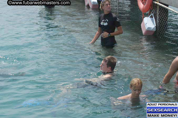 Local Billing Dolphin Encounter and Swim 2005