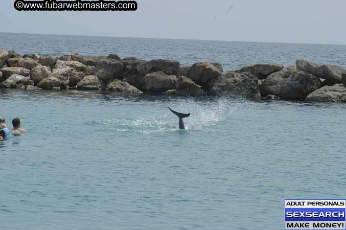 Local Billing Dolphin Encounter and Swim 2005