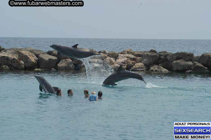 Local Billing Dolphin Encounter and Swim 2005