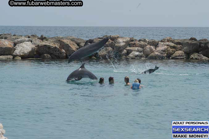 Local Billing Dolphin Encounter and Swim 2005