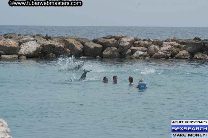 Local Billing Dolphin Encounter and Swim 2005