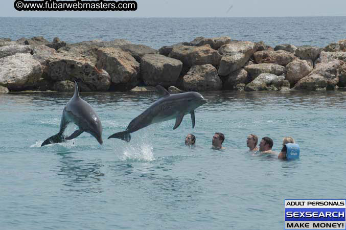 Local Billing Dolphin Encounter and Swim 2005