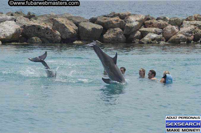 Local Billing Dolphin Encounter and Swim 2005