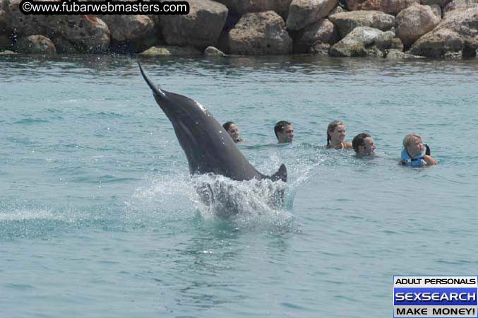 Local Billing Dolphin Encounter and Swim 2005