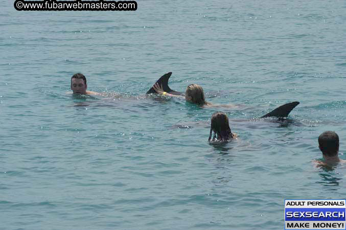 Local Billing Dolphin Encounter and Swim 2005