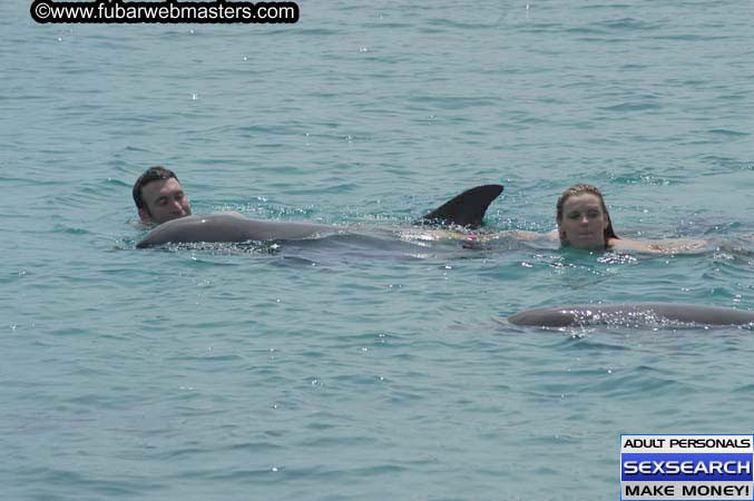 Local Billing Dolphin Encounter and Swim 2005