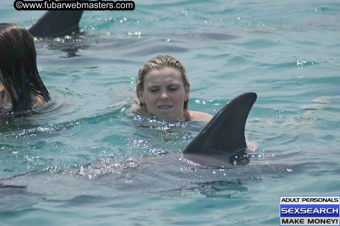 Local Billing Dolphin Encounter and Swim 2005