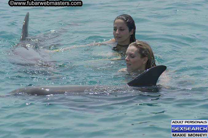 Local Billing Dolphin Encounter and Swim 2005