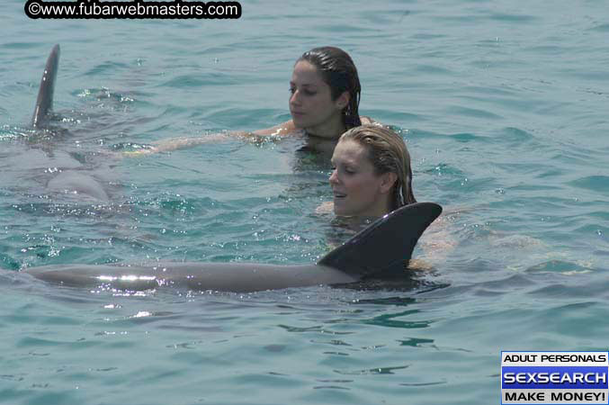 Local Billing Dolphin Encounter and Swim 2005