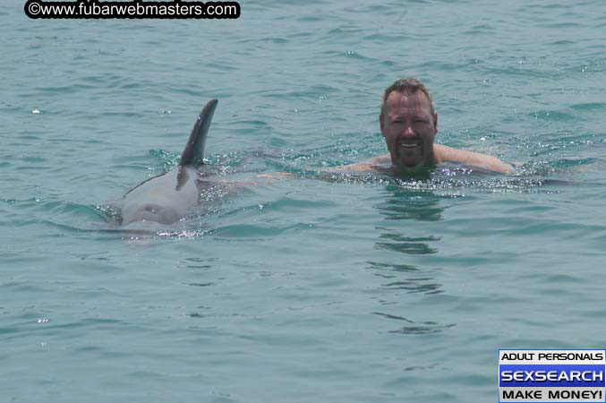 Local Billing Dolphin Encounter and Swim 2005