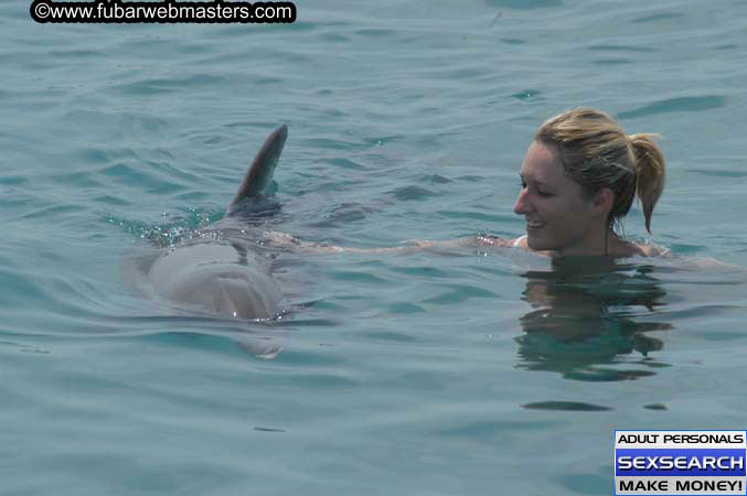 Local Billing Dolphin Encounter and Swim 2005