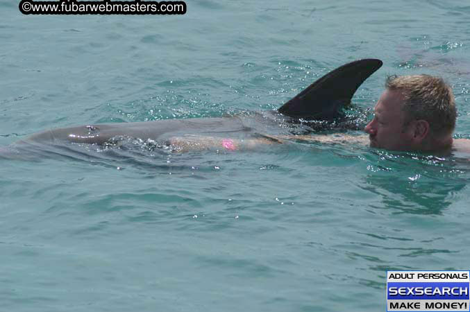 Local Billing Dolphin Encounter and Swim 2005