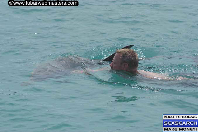 Local Billing Dolphin Encounter and Swim 2005