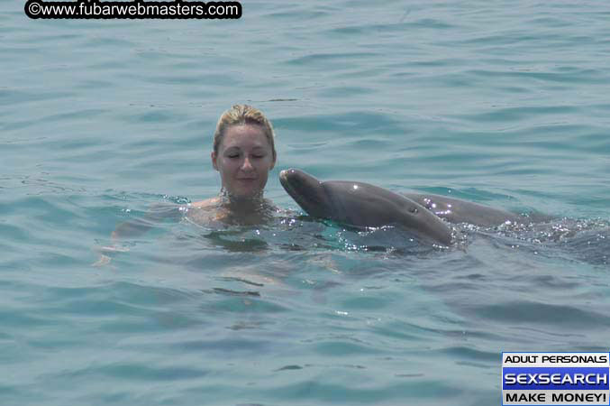 Local Billing Dolphin Encounter and Swim 2005