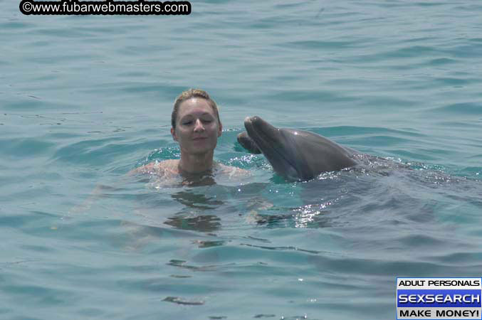 Local Billing Dolphin Encounter and Swim 2005