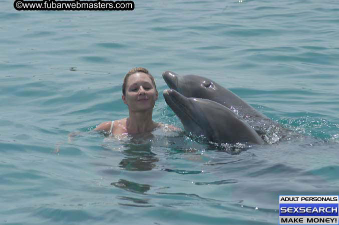 Local Billing Dolphin Encounter and Swim 2005