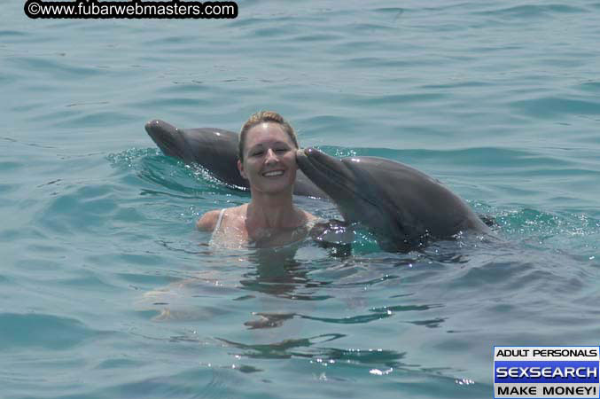 Local Billing Dolphin Encounter and Swim 2005