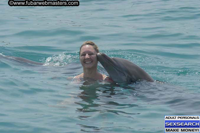 Local Billing Dolphin Encounter and Swim 2005