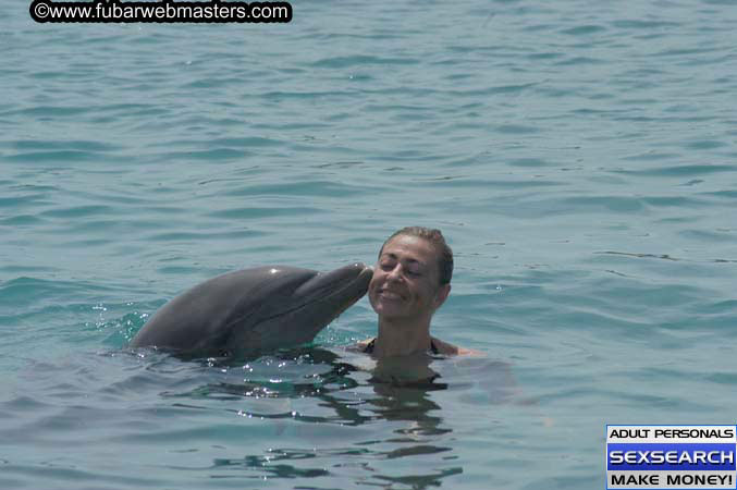 Local Billing Dolphin Encounter and Swim 2005