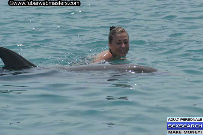 Local Billing Dolphin Encounter and Swim 2005