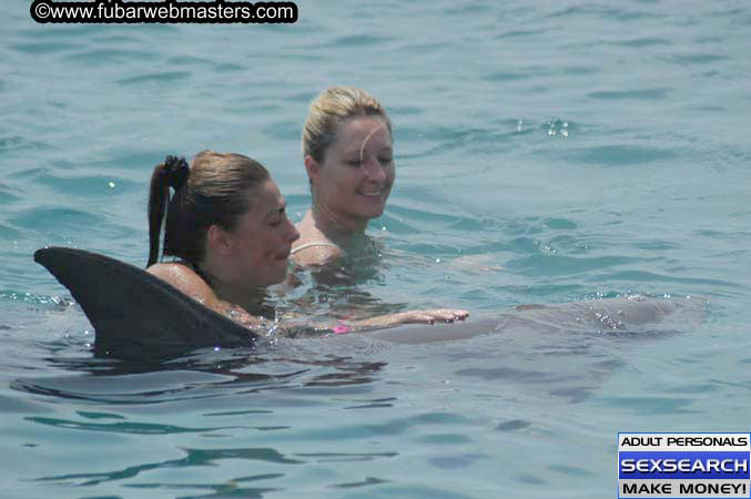 Local Billing Dolphin Encounter and Swim 2005