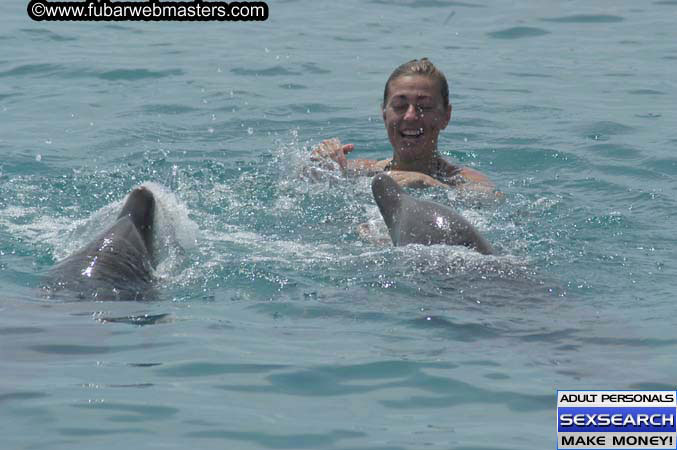 Local Billing Dolphin Encounter and Swim 2005