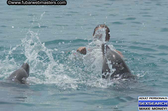 Local Billing Dolphin Encounter and Swim 2005