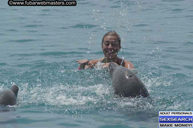 Local Billing Dolphin Encounter and Swim 2005