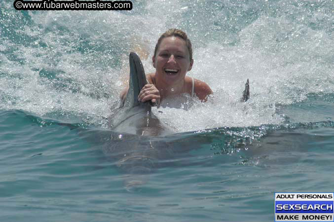 Local Billing Dolphin Encounter and Swim 2005