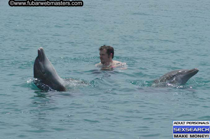 Local Billing Dolphin Encounter and Swim 2005