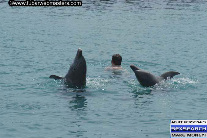 Local Billing Dolphin Encounter and Swim 2005