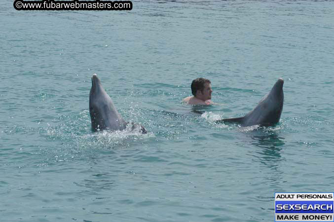 Local Billing Dolphin Encounter and Swim 2005