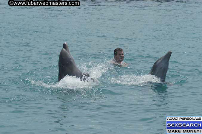 Local Billing Dolphin Encounter and Swim 2005