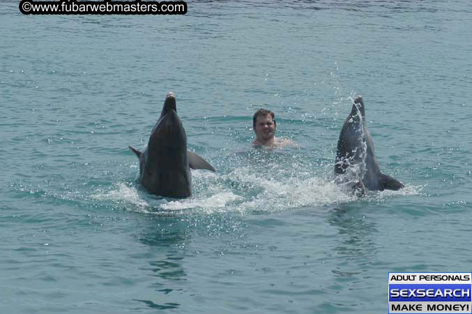 Local Billing Dolphin Encounter and Swim 2005