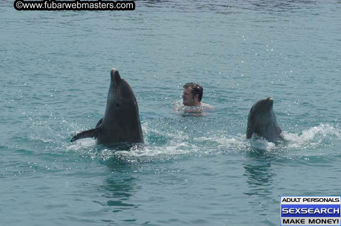 Local Billing Dolphin Encounter and Swim 2005