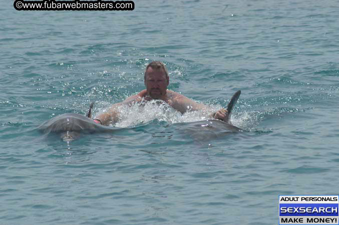 Local Billing Dolphin Encounter and Swim 2005