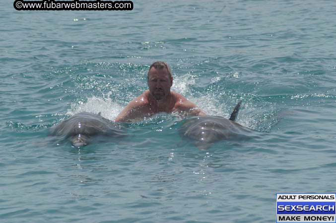 Local Billing Dolphin Encounter and Swim 2005