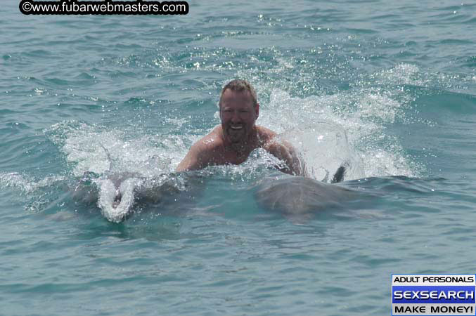 Local Billing Dolphin Encounter and Swim 2005