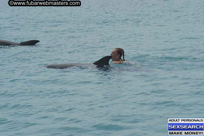 Local Billing Dolphin Encounter and Swim 2005