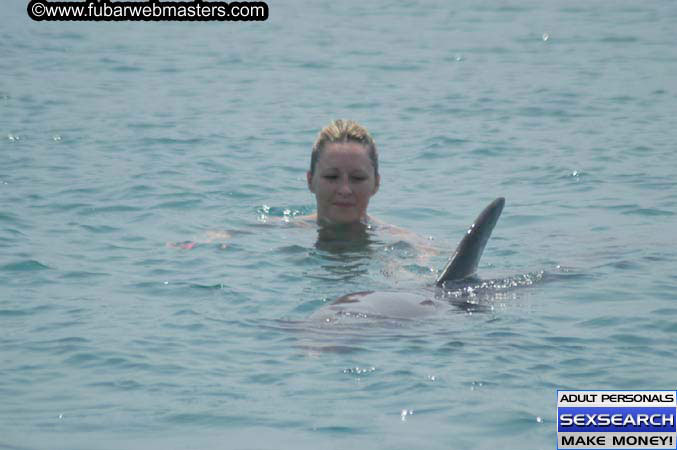 Local Billing Dolphin Encounter and Swim 2005