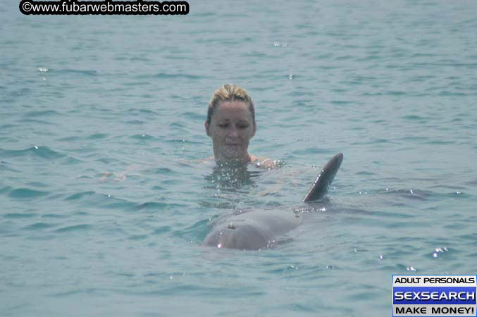 Local Billing Dolphin Encounter and Swim 2005