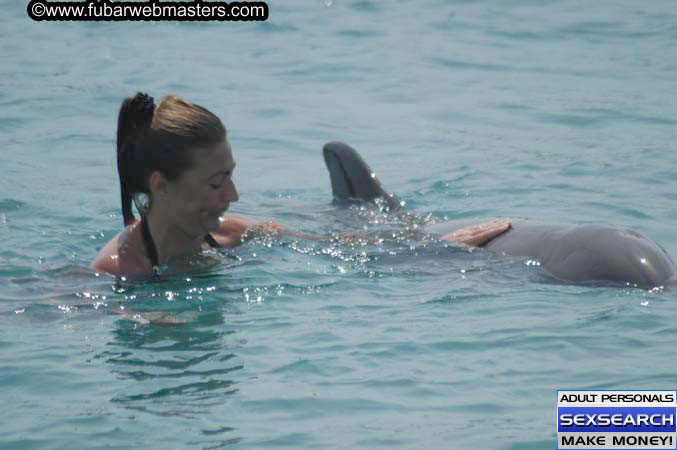 Local Billing Dolphin Encounter and Swim 2005