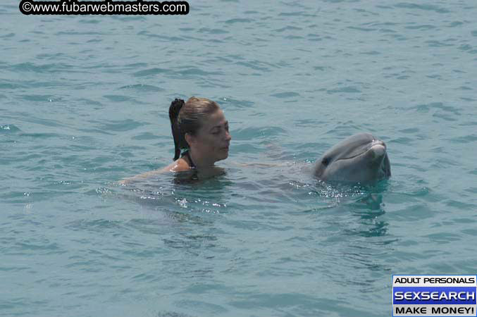 Local Billing Dolphin Encounter and Swim 2005