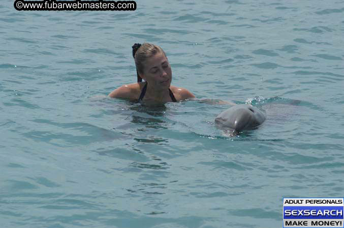 Local Billing Dolphin Encounter and Swim 2005