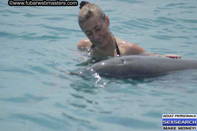 Local Billing Dolphin Encounter and Swim 2005