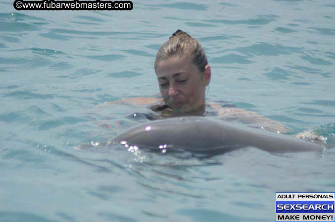 Local Billing Dolphin Encounter and Swim 2005